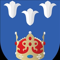 Domácí